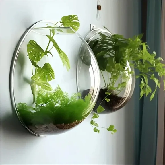 ❗️SOLD❗️2 (TWO) Wall-mounted Decorative Set, Hydroponic Plant Transparent - Picture 6 of 16